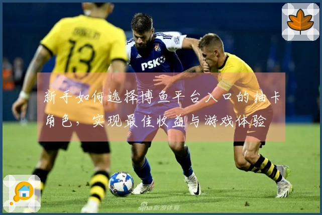 新手如何选择博鱼平台入口的抽卡角色，实现最佳收益与游戏体验